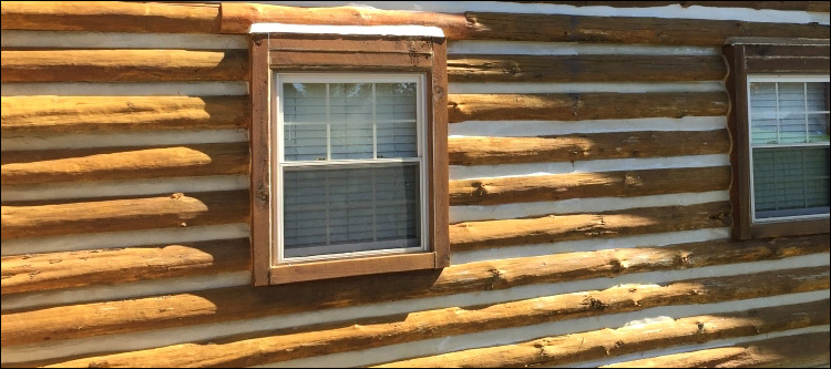 Log Home Whole Log Replacement  Forsyth County, Georgia