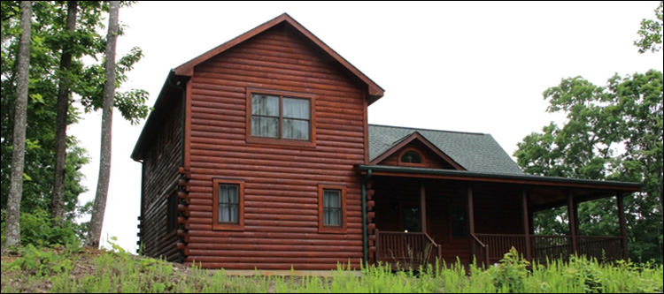 Professional Log Home Borate Application  Forsyth County, Georgia